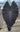 A 1 gallon Colocasia 'Black Ruffles" with three large, dark leaves. Some leaves have a green or blue hue.