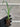 A single Yucca recurvifolia 'Pendula' starter plant from a 4 pack. The plant's ellepot can be seen, showing robust root growth.
