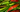 Pepper Starters 101: Varieties, Care, and Growing Tips