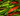 Pepper Starters 101: Varieties, Care, and Growing Tips