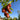Jujube Trees: The Hidden Gem of Backyard Orchards