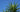Yucca Varieties Compared: Choosing the Best Yucca for You
