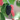 A picture of a ripe mulberry on a Dwarf Everbearing Mulberry tree. The mature mulberry is a dark purple to black color, and is pictured next to younger red mulberries.