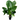 Imperial Red Alocasia