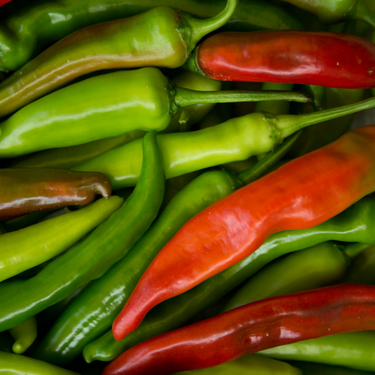 Anaheim Pepper