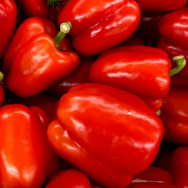 California Wonder Red Bell Pepper
