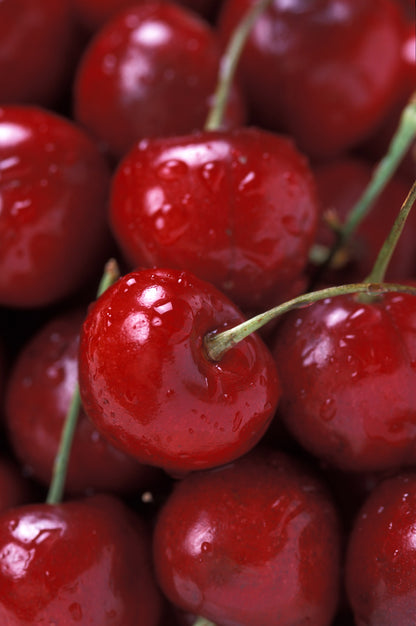 A close-up of ripe Bing cherries. They are a bright, darker red with green stems.