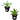 Blue Flame Agave & Boutin Blue Agave Value Pack