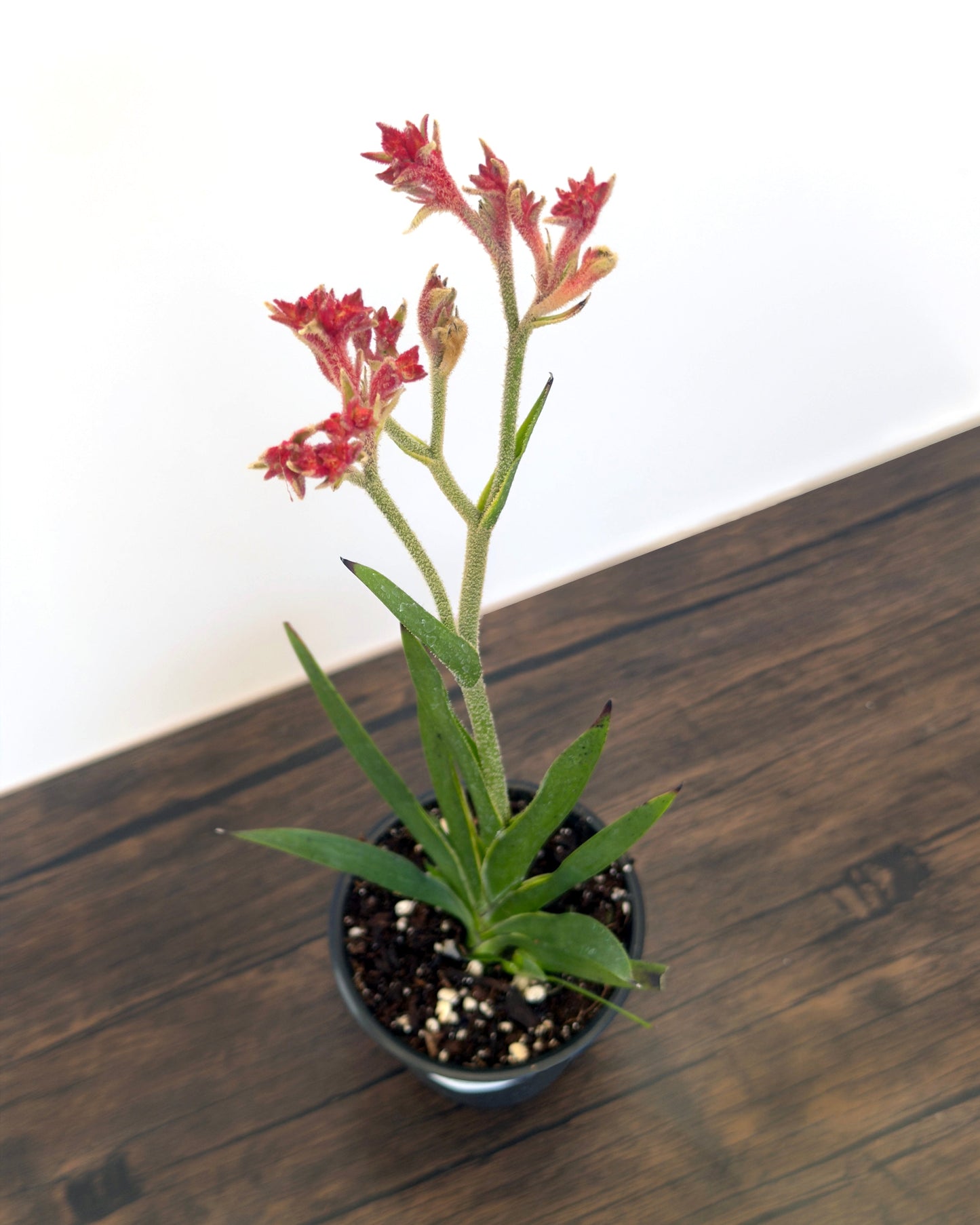 Waterwise Variety Pack