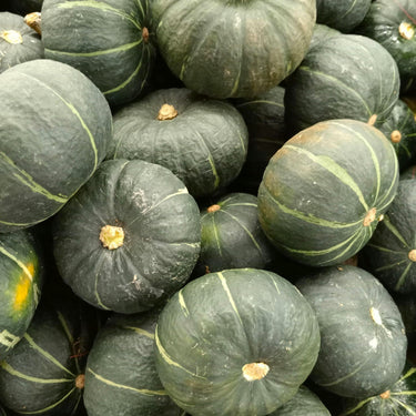 Burgess Buttercup Winter Squash