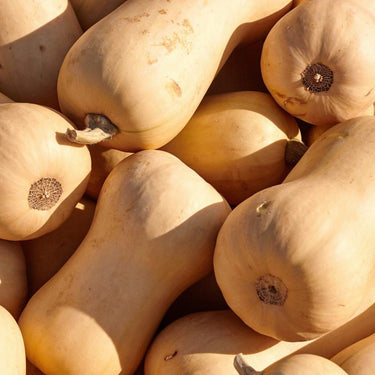 Butternut Squash