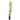 Bing Cherry Tree