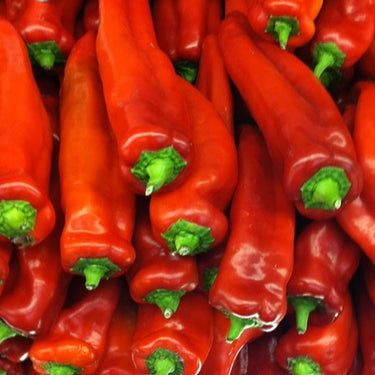 Corno di Toro Pepper