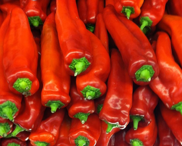 Corno di Toro Pepper