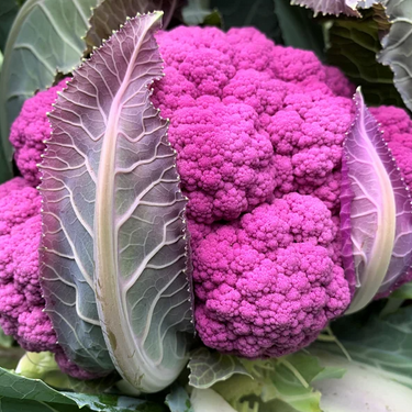 Depurple Cauliflower