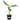 Dwarf Cavendish Banana