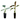 Dwarf Cavendish Banana & Zebrina Banana Value Pack