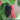 A picture of a ripe mulberry on a Dwarf Everbearing Mulberry tree. The mature mulberry is a dark purple to black color, and is pictured next to younger red mulberries.