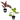 Red Ruby Rubber Tree & Variegated Council Tree Value Pack