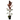 Red Ruby Rubber Plant