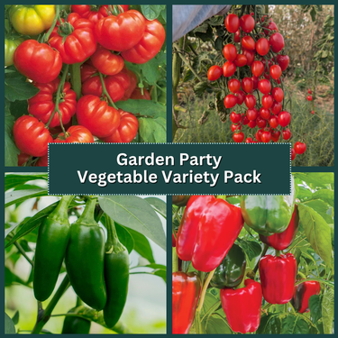 Garden Party Vegetable Variety Pack