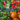 Heirloom Veggie 4 Inch Starter Plant Variety Pack