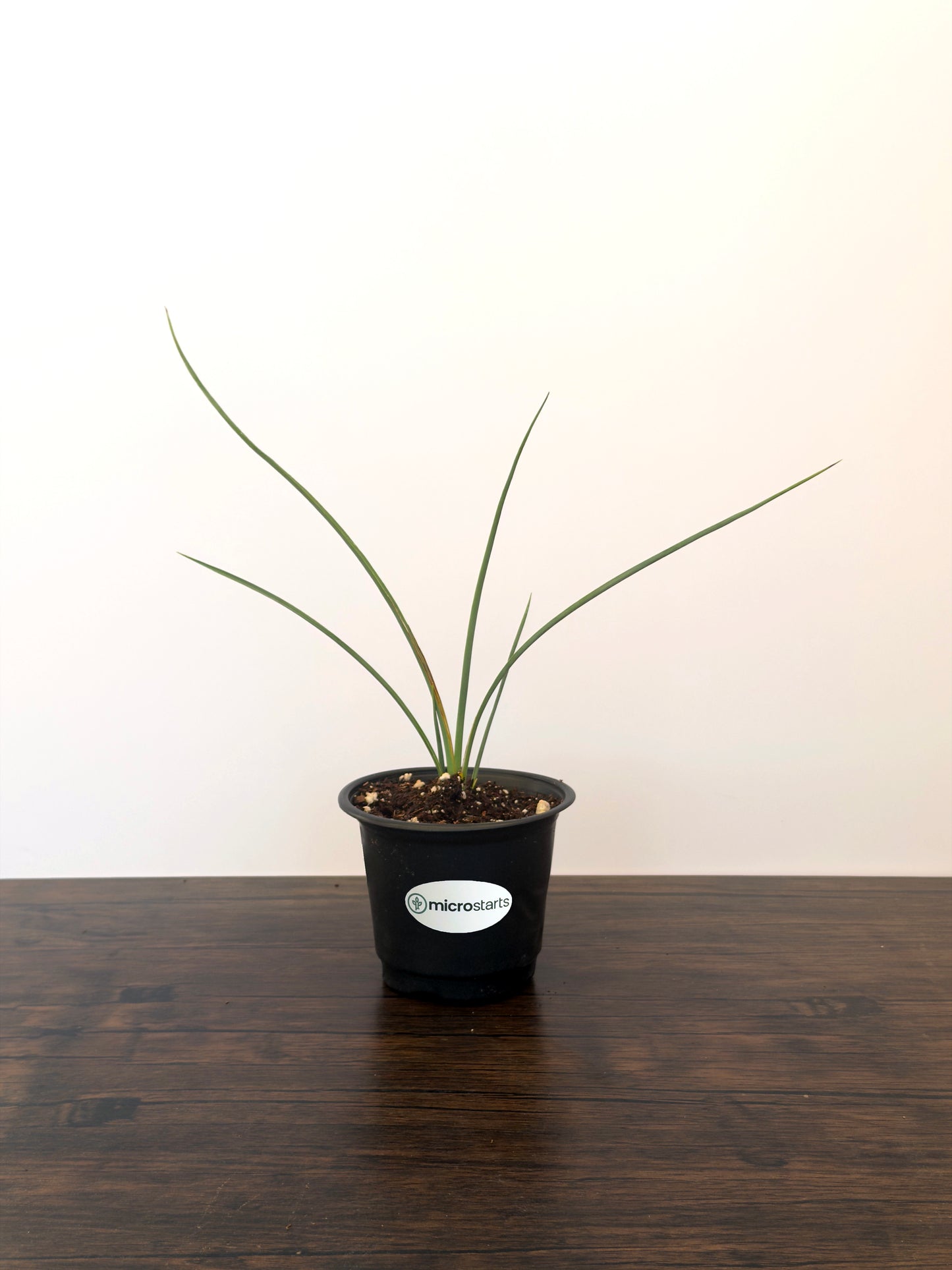 Waterwise Variety Pack