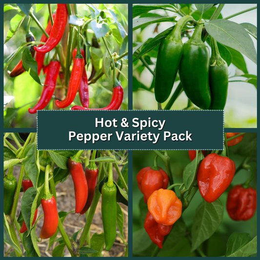Hot & Spicy Pepper Variety Pack
