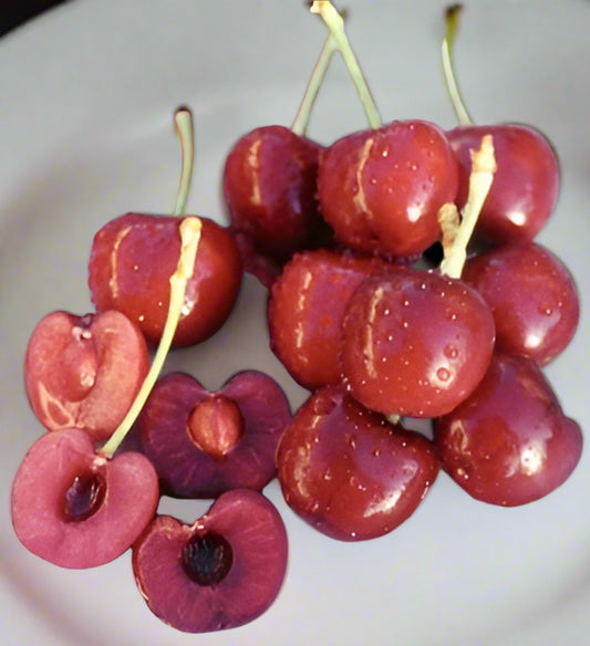 Lapins cherries on a plate. Some of the cherries are cut in half, showing their small pits and light flesh.
