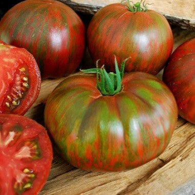 Pink Berkeley Tie-Dye Tomato