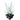 Red Swan Hesperaloe