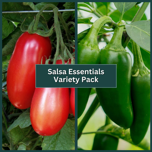 Salsa Essentials Variety Pack