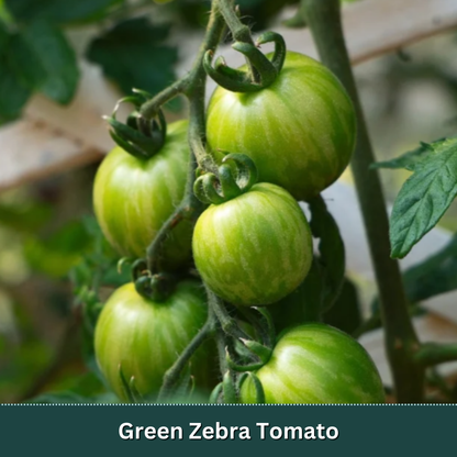 Mix & Match Vegetable Variety Pack