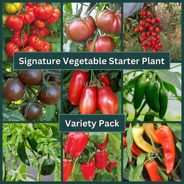 Signature Vegetable Variety Pack