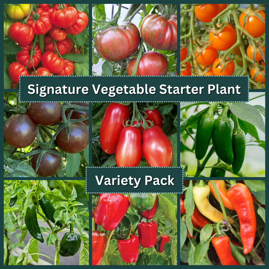 Signature Vegetable Variety Pack