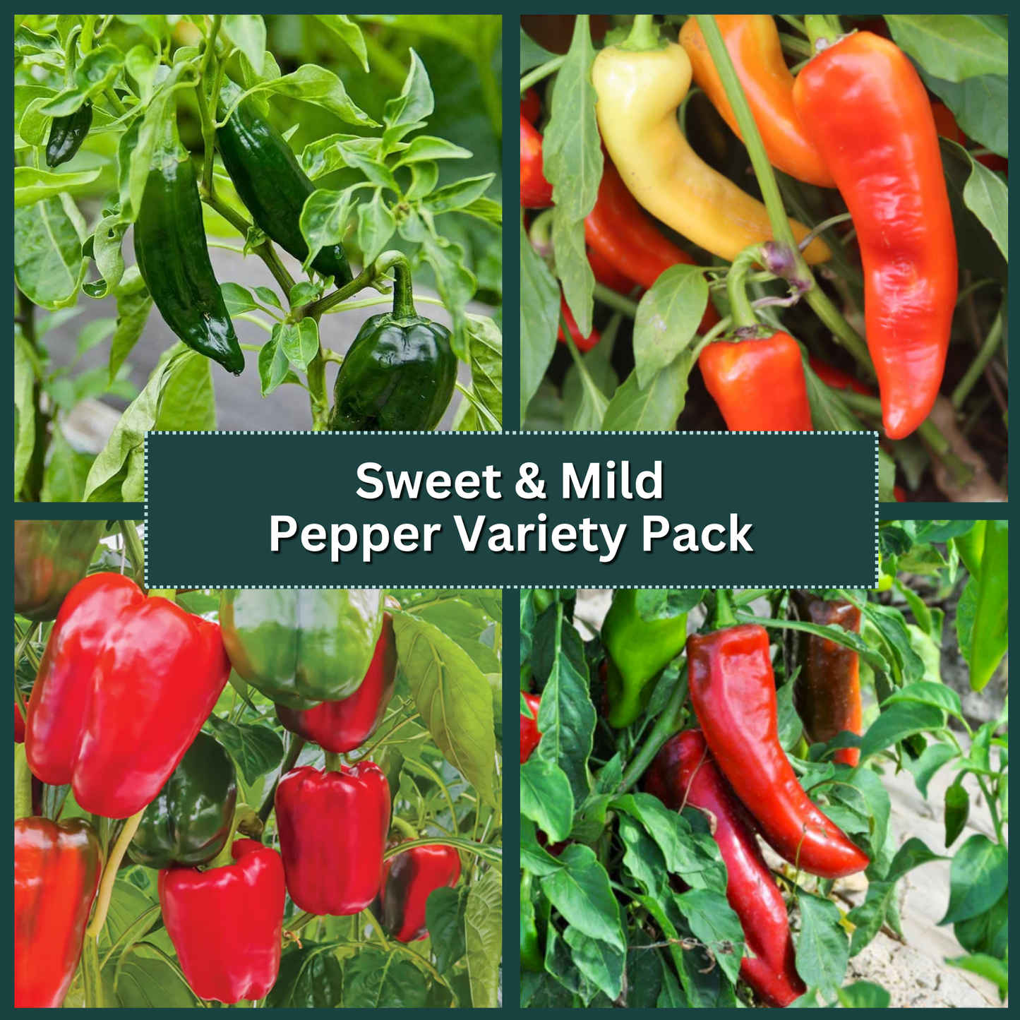 Sweet & Mild Pepper Variety Pack