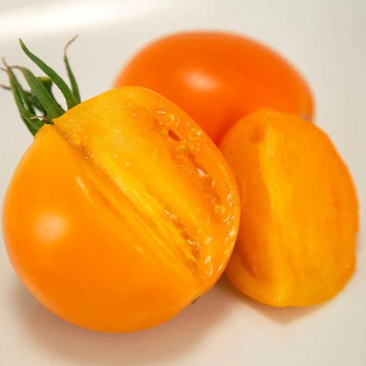 Valencia Tomato