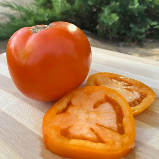 Valencia Tomato