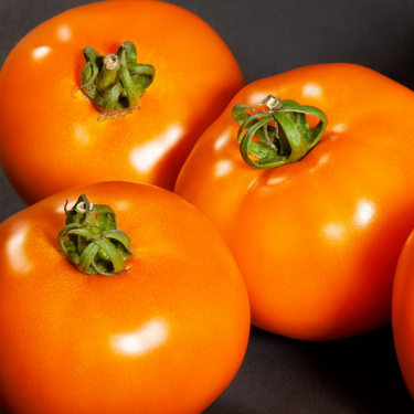 Valencia Tomato
