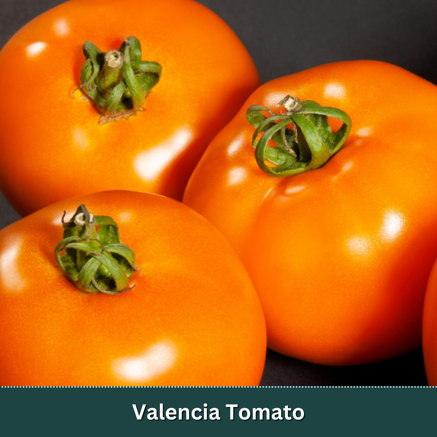 Mix & Match Vegetable Variety Pack