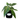 White Wizard Philodendron