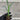 A single Yucca recurvifolia 'Pendula' starter plant from a 4 pack. The plant's ellepot can be seen, showing robust root growth.