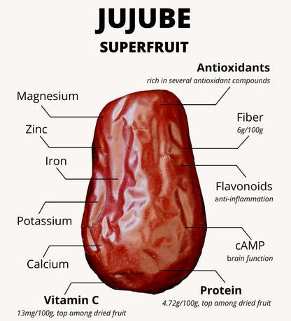 Jujube GA-866 (Chinese Red Date) 1 Gallon/Jumbo Ellepot Trees - MicroStarts Tissue Culture (Own Root) Trees
